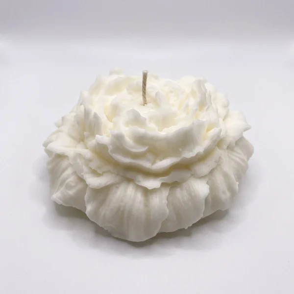 Decorative Wax Melts