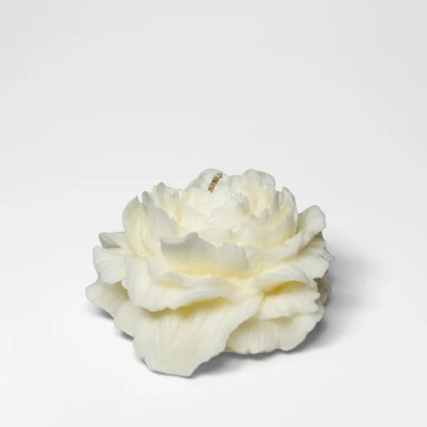 Decorative Wax Melts
