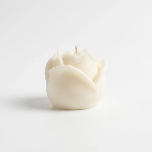 Decorative Wax Melts